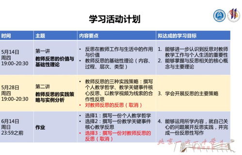 教师反思的实践策略与实例分析 我校举办青年教师专业发展支持系统构建项目云端培训第六期